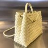 BOTTEGA VENETA MEDIUM ANDIAMO Bag