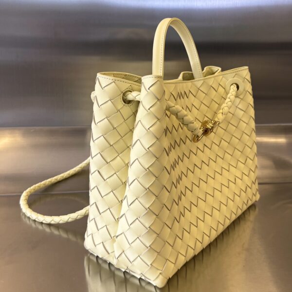 BOTTEGA VENETA MEDIUM ANDIAMO Bag