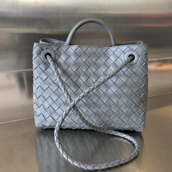 BOTTEGA VENETA BV Small Andiamo