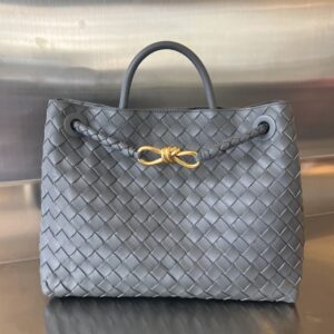 BOTTEGA VENETA MEDIUM ANDIAMO Bag