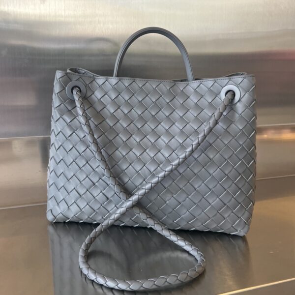 BOTTEGA VENETA MEDIUM ANDIAMO Bag