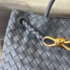 BOTTEGA VENETA MEDIUM ANDIAMO Bag