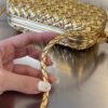Bottega Veneta Knot On Strap