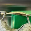 Bottega Veneta BV Mini Sardine