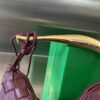 Bottega Veneta BV Mini Sardine