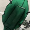 Goyard Sac Saint Louis Claire-Voie MM