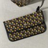 Goyard Sac Saint Louis Claire-Voie MM