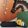 Goyard Messager Citadin PM