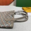 Goyard Poitiers Claire-Voie Bag