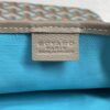 Goyard Poitiers Claire-Voie Bag
