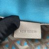 Goyard Poitiers Claire-Voie Bag