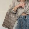 Goyard Poitiers Claire-Voie Bag
