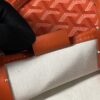 Goyard Poitiers Mini Tote