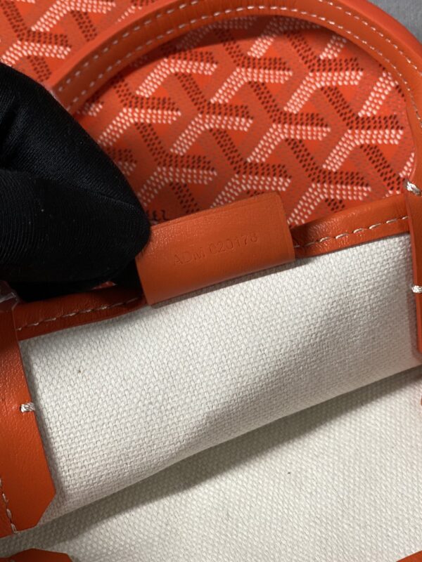 Goyard Poitiers Mini Tote
