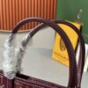 Goyard Poitiers Mini Tote