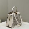 Fendi Iconic Peekaboo ISeeU Medium Handbag