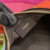 Fendi Fendigraphy small