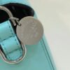 FENDI Baguette Tiffany & Co. bag x Fendi