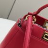 Fendi Lconic Peekaboo