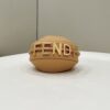 Fendi Graphy Mini Bag