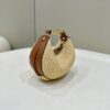 Fendi Graphy Mini Bag
