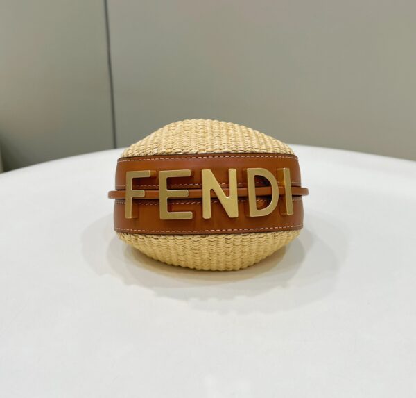 Fendi Graphy Mini Bag