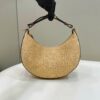 Fendi Graphy Bag