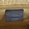 Fendi New Look Mini Bag