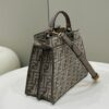 Fendi Peekaboo  Bag