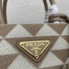 Prada Symbole Embroidered Fabric Mini Bag