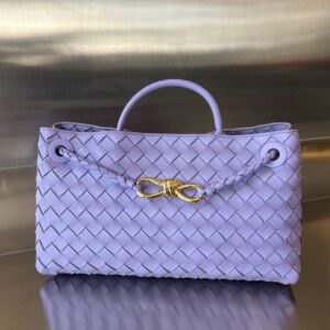 Bottega Veneta Small East/West Andiamo