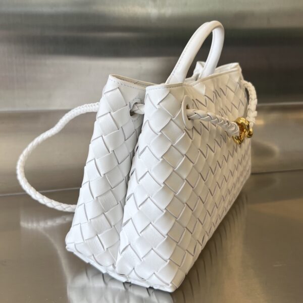 Bottega Veneta Small East/West Andiamo