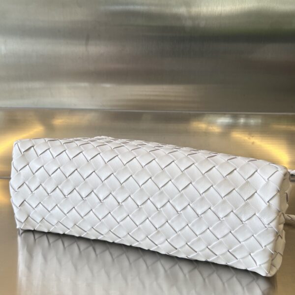 Bottega Veneta Small East/West Andiamo