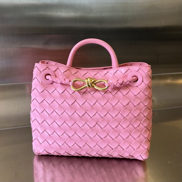 BOTTEGA VENETA BV Small Andiamo