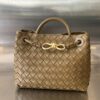 BOTTEGA VENETA BV Small Andiamo