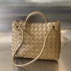 BOTTEGA VENETA BV Small Andiamo