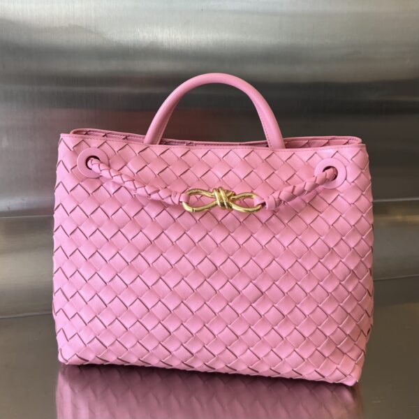 BOTTEGA VENETA MEDIUM ANDIAMO Bag