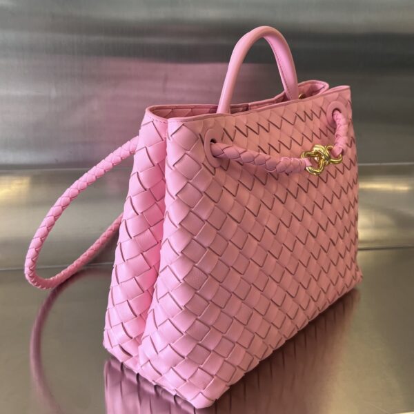 BOTTEGA VENETA MEDIUM ANDIAMO Bag