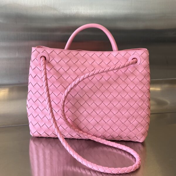 BOTTEGA VENETA MEDIUM ANDIAMO Bag