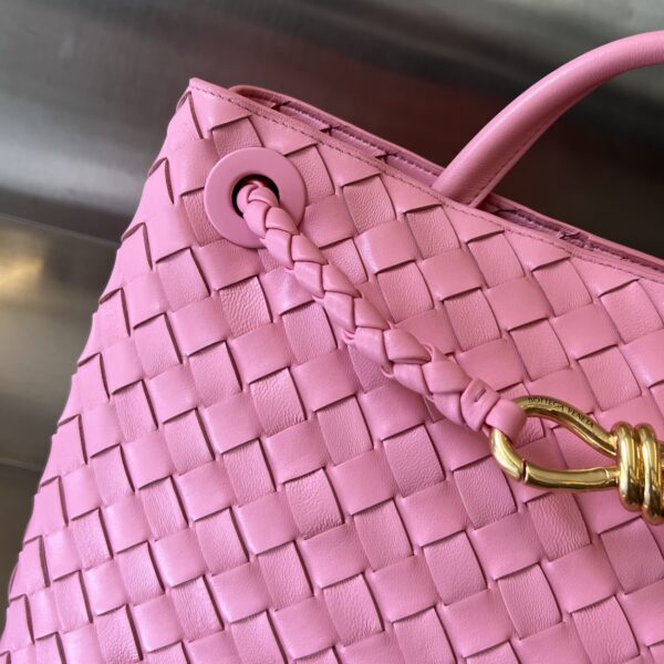 BOTTEGA VENETA MEDIUM ANDIAMO Bag