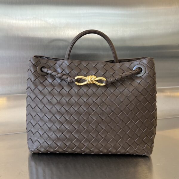 BOTTEGA VENETA MEDIUM ANDIAMO BAG