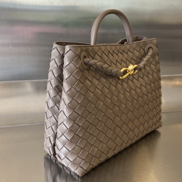 BOTTEGA VENETA MEDIUM ANDIAMO BAG