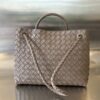 BOTTEGA VENETA MEDIUM ANDIAMO BAG