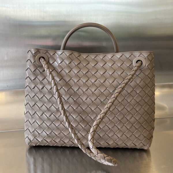 BOTTEGA VENETA MEDIUM ANDIAMO BAG