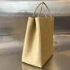 Bottega Veneta The Small Brown Bag