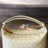 Bottega Veneta Mini Wallace