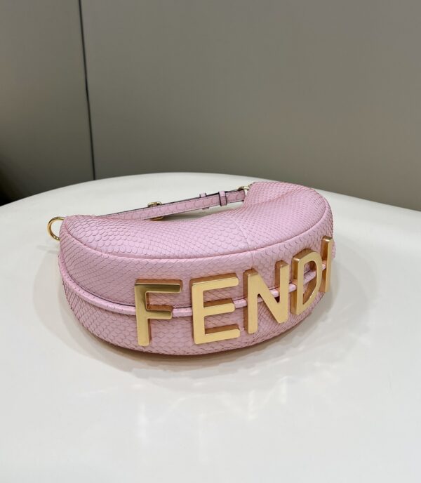 Fendi Fendigraphy