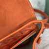 Goyard Alpin Mini Backpack