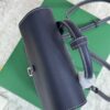 Goyard Alpin Mini Backpack