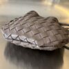 Bottega Veneta BV Mini Sardine